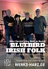 Bluebird Irish Folk