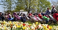 Momentan bl&uuml;hen noch die Fr&uuml;hbl&uuml;her auf der Landesgartenschau in Leinefelde. (ssc)