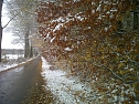 Herbst und Winter (Foto: G. Sch&uuml;tze)