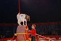Circus Rolina gastiert in Nordhausen  (Foto: nnz-City Scout: Sven G&auml;mkow)