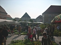 Pflanzenmarkt am Sonntag (Foto: Karl-Heinz Herrmann)
