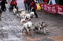 Hundeschlittenrennen in Pullman City (Foto: Peter Blei)