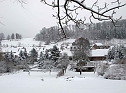 Winter in Friedrichsrode (Foto: Christiane Wiesemann)