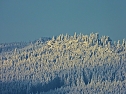 Winterliche Harzimpressionen (Foto: P.Blei)