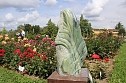 Europa Rosarium in Sangerhausen (Foto: Eva Maria Wiegand)