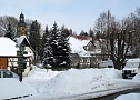 Wintergr&uuml;&szlig;e (Foto: Ch. Wiesemann)