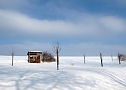 Wintergr&uuml;&szlig;e (Foto: Ch. Wiesemann)