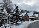 Wintergr&uuml;&szlig;e (Foto: Ch. Wiesemann)