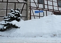 Wintergr&uuml;&szlig;e (Foto: Ch. Wiesemann)