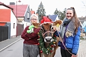 Adventsausflug mit dem Ochsen Tabaluga (Foto: S.Dietzel)