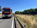 Unfall mit tödlichem Ausgang (Foto: S.Dietzel) Unfall mit tödlichem Ausgang (Foto: S.Dietzel)
