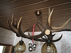 Hirschgeweih Lampen 
