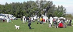 Clubschau am Stausee (Foto: Ulrich Reinboth) Clubschau am Stausee (Foto: Ulrich Reinboth)