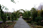 Bild: Saisonabschluss im Rosarium (Foto: P.Blei)