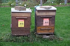 Bild: Saisonabschluss im Rosarium (Foto: P.Blei)