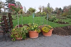 Bild: Saisonabschluss im Rosarium (Foto: P.Blei)