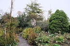 Bild: Saisonabschluss im Rosarium (Foto: P.Blei)