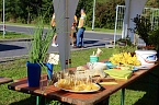 Bild: KNAUF-Kinderfest in Rottleberode (Foto: oas)