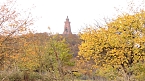 Herbst in der Goldenen Aue (Foto: Ulrich Reinboth)
