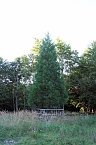 Peter Blei beim Waldspaziergang (Foto: Peter Blei)
