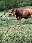 Impressionen von einer doppelten Harzquerung (Foto: P.Klahre)