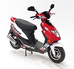 Getestet: Rex (Foto: ADAC) Getestet: Rex (Foto: ADAC)