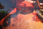 Welt der Reptilien in der Wiedingsburghalle (Foto: nnz-City Scout: Sven Gämkow) Welt der Reptilien in der Wiedingsburghalle (Foto: nnz-City Scout: Sven Gämkow)