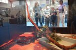Welt der Reptilien in der Wiedingsburghalle (Foto: nnz-City Scout: Sven Gämkow) Welt der Reptilien in der Wiedingsburghalle (Foto: nnz-City Scout: Sven Gämkow)