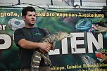 Welt der Reptilien in der Wiedingsburghalle (Foto: nnz-City Scout: Sven Gämkow) Welt der Reptilien in der Wiedingsburghalle (Foto: nnz-City Scout: Sven Gämkow)