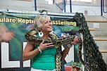 Welt der Reptilien in der Wiedingsburghalle (Foto: nnz-City Scout: Sven Gämkow) Welt der Reptilien in der Wiedingsburghalle (Foto: nnz-City Scout: Sven Gämkow)