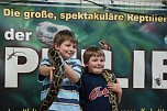 Welt der Reptilien in der Wiedingsburghalle (Foto: nnz-City Scout: Sven Gämkow) Welt der Reptilien in der Wiedingsburghalle (Foto: nnz-City Scout: Sven Gämkow)