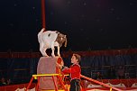 Circus Rolina gastiert in Nordhausen  (Foto: nnz-City Scout: Sven G&auml;mkow)