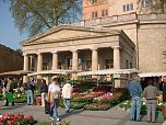 Pflanzenmarkt am Sonntag (Foto: Karl-Heinz Herrmann)