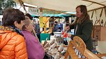 Bauernmarkt in Braunsroda (Foto: nnz) Bauernmarkt in Braunsroda (Foto: nnz)