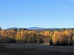 Herbst im Harz (Foto: Peter Blei)