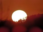 Sonnenuntergang (Foto: P.Blei)