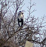 Am Stausee (Foto: U. Reinboth ) Am Stausee (Foto: U. Reinboth )