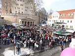 Rosenmontagsumzug Sondershausen (Foto: Karl-Heinz Herrmann)