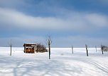 Wintergr&uuml;&szlig;e (Foto: Ch. Wiesemann)
