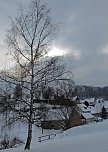 Wintergr&uuml;&szlig;e (Foto: Ch. Wiesemann)