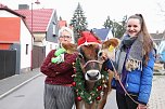 Adventsausflug mit dem Ochsen Tabaluga (Foto: S.Dietzel)