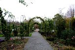 Saisonabschluss im Rosarium (Foto: P.Blei)