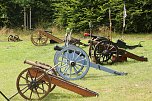 Kanonendonner auf der Pfalz Tilleda (Foto: agl)