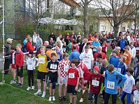 Kyffhäuserberglauf mit Rekordfeldern Bild: Kyffhäuserberglauf mit Rekordfeldern