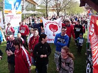 Kyffhäuserberglauf mit Rekordfeldern Bild: Kyffhäuserberglauf mit Rekordfeldern