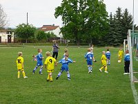 Turnier gewonnen Bild: Turnier gewonnen
