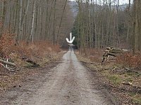 Bild: Beim Marienbrunenn