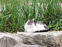 Auf dem Possen bei Sondershausen Bild: Auf dem Possen bei Sondershausen