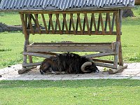 Auf dem Possen bei Sondershausen Bild: Auf dem Possen bei Sondershausen