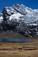 Bild: Unterwegs in Peru